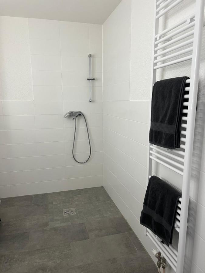 Apartment Juna Mit Tg Stellplatz 라이프치히 외부 사진